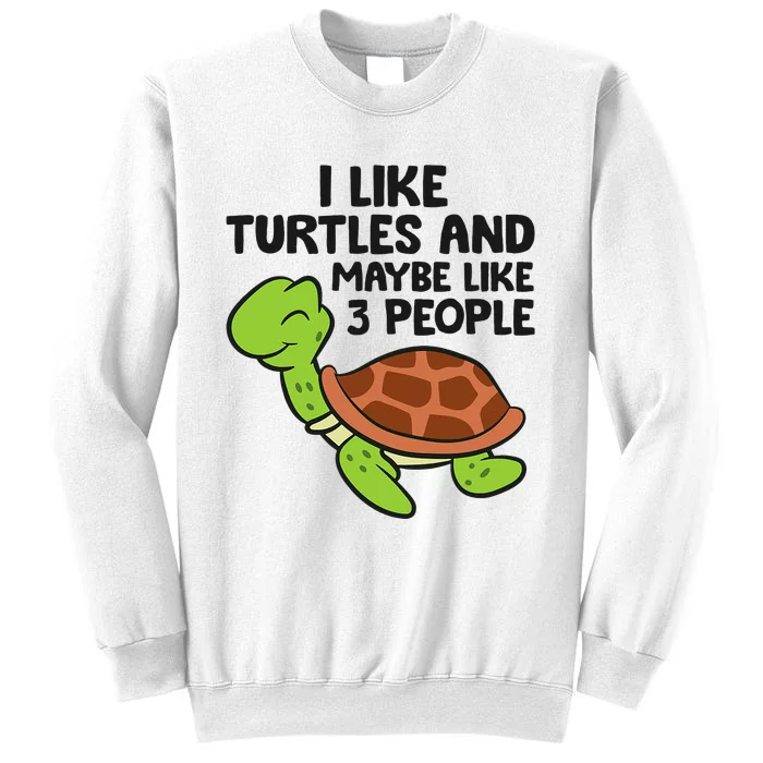 I Like Turtles And Maybe Like 3 People Turtles Sweatshirt