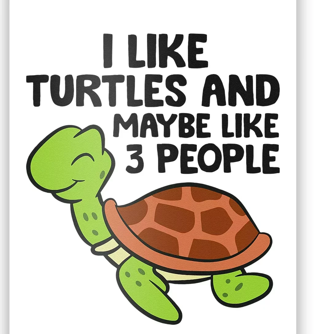 I Like Turtles And Maybe Like 3 People Turtles Poster