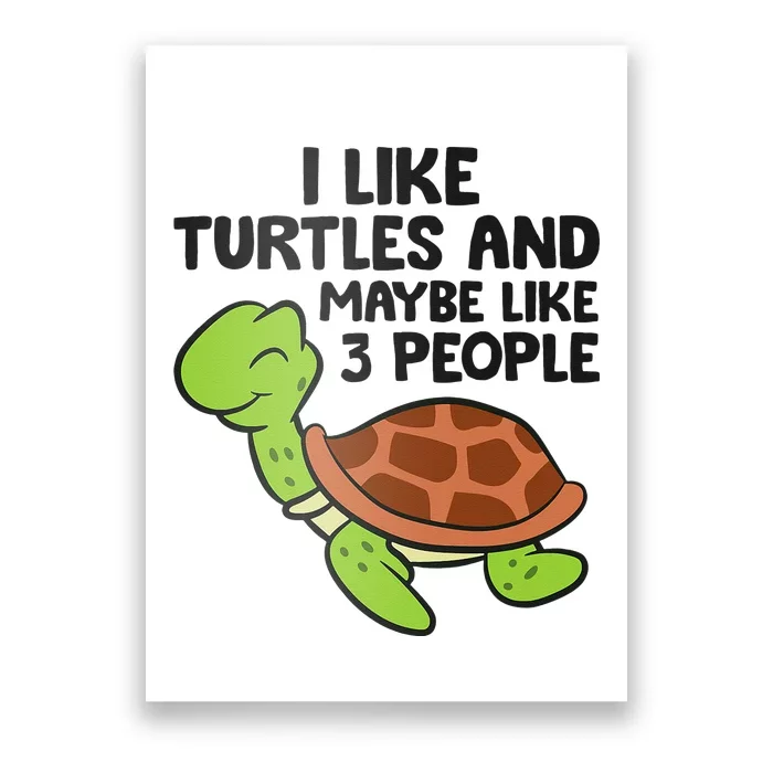 I Like Turtles And Maybe Like 3 People Turtles Poster