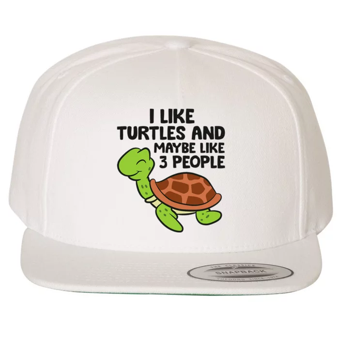 I Like Turtles And Maybe Like 3 People Turtles Wool Snapback Cap