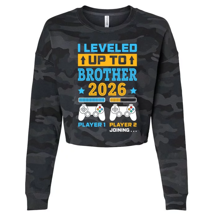 I Leveled Up To Brother 2026 Funny Big Brother Gamer Gift Cropped Pullover Crew