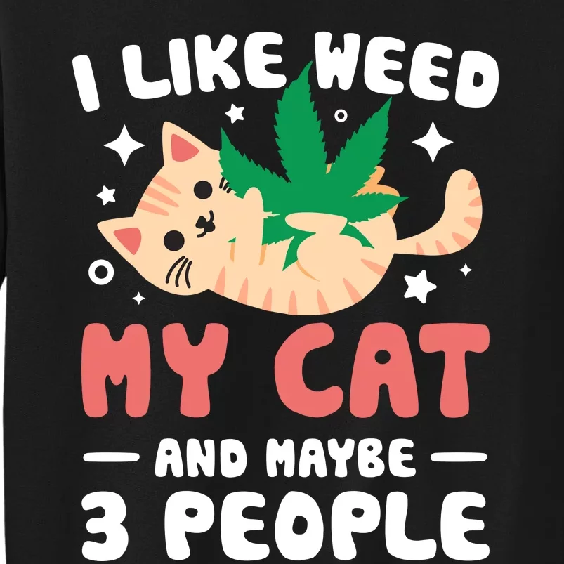 I Like Weed My Cat Maybe 3 People 420 Cannabis Stoner Gift Tall Sweatshirt