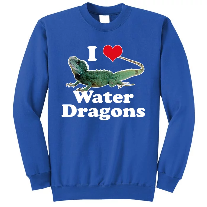 I Love Water Dragons With A Heart Cool Gift Sweatshirt