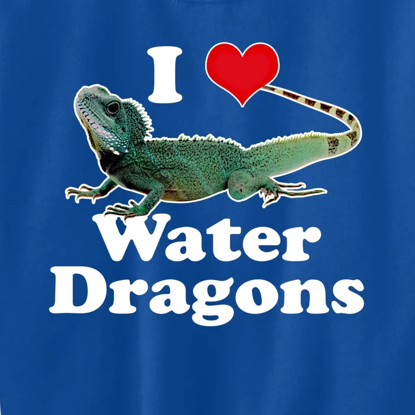 I Love Water Dragons With A Heart Gift Kids Sweatshirt