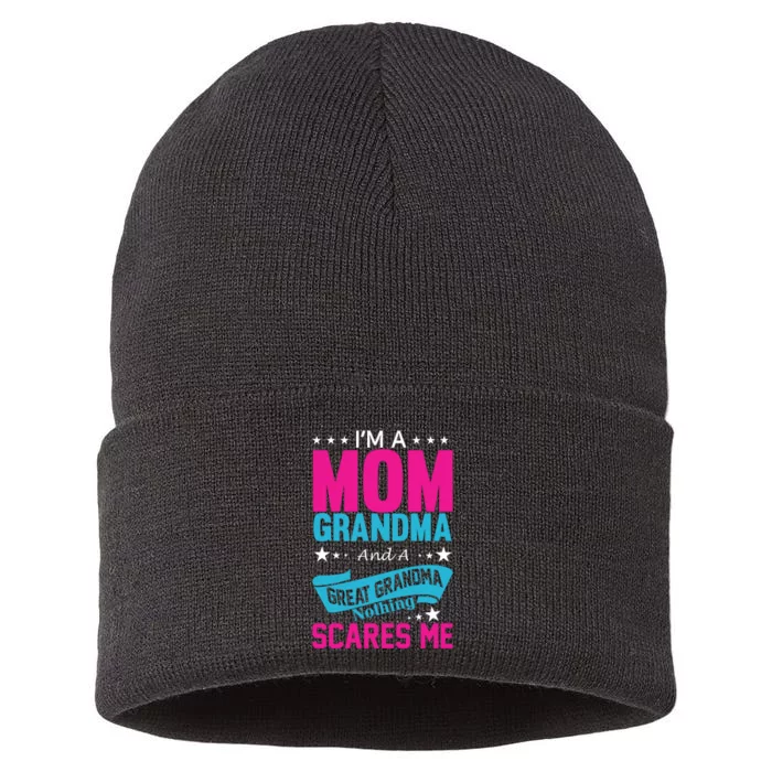 I'm A Mom Grandma And A Great Grandma Funny Sustainable Knit Beanie