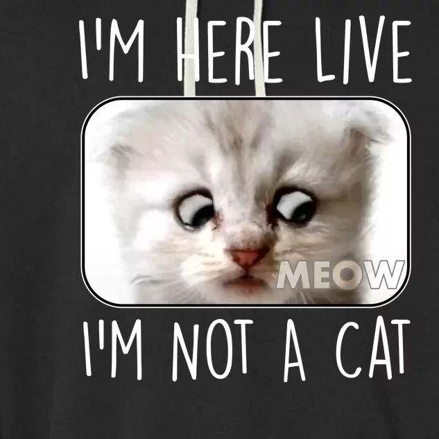 I'm Here Live I'm Not A Cat Zoom Lawyer Cat Meme Garment-Dyed Fleece Hoodie