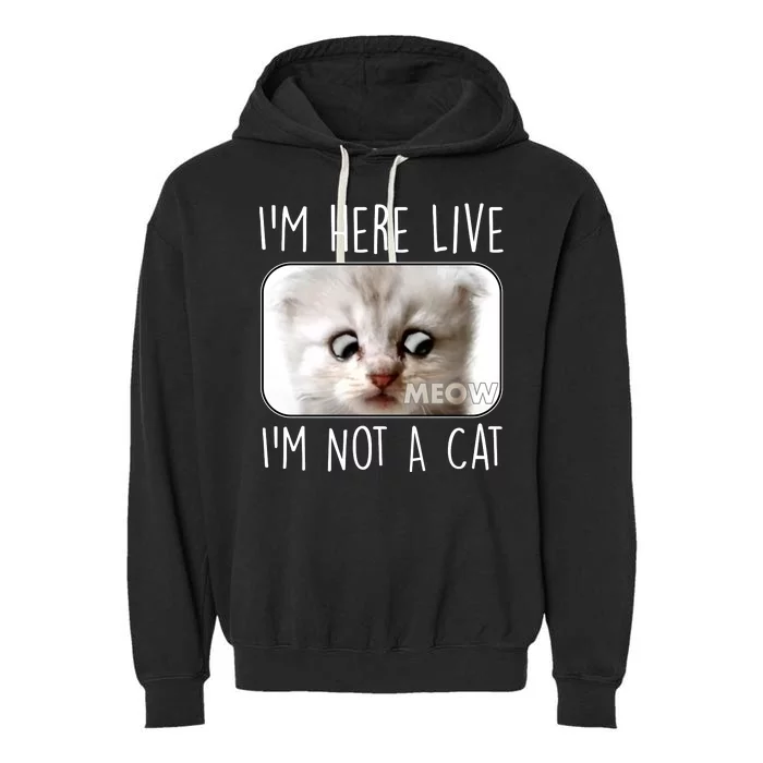 I'm Here Live I'm Not A Cat Zoom Lawyer Cat Meme Garment-Dyed Fleece Hoodie