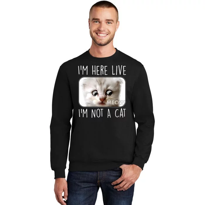 I'm Here Live I'm Not A Cat Zoom Lawyer Cat Meme Sweatshirt