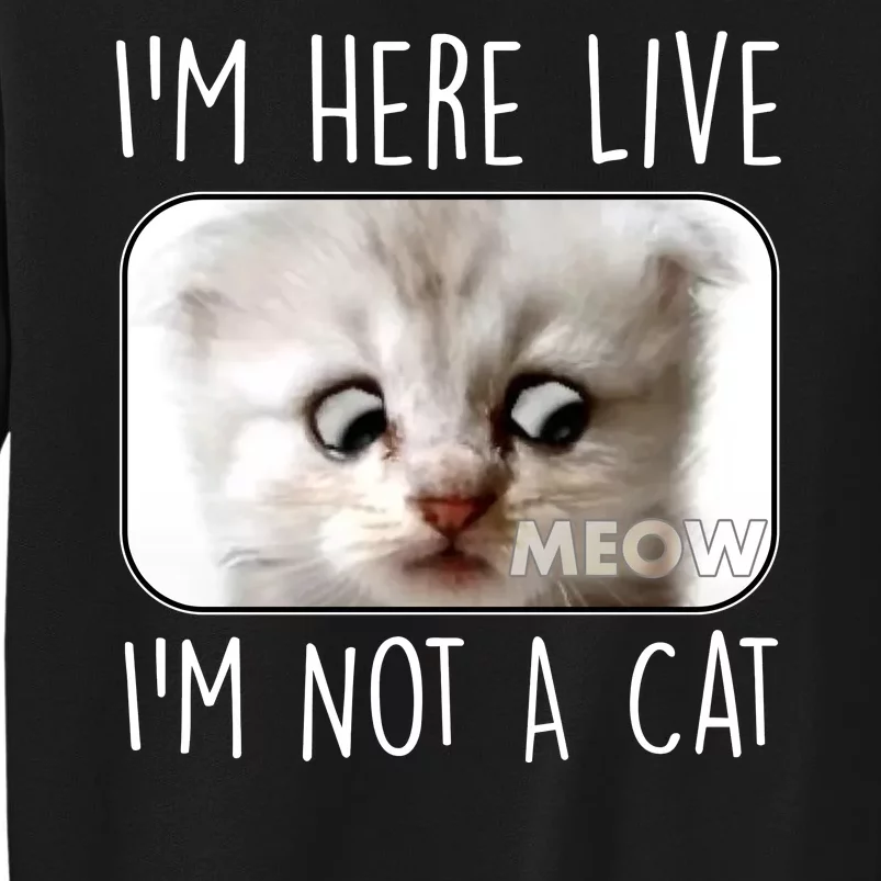 I'm Here Live I'm Not A Cat Zoom Lawyer Cat Meme Sweatshirt