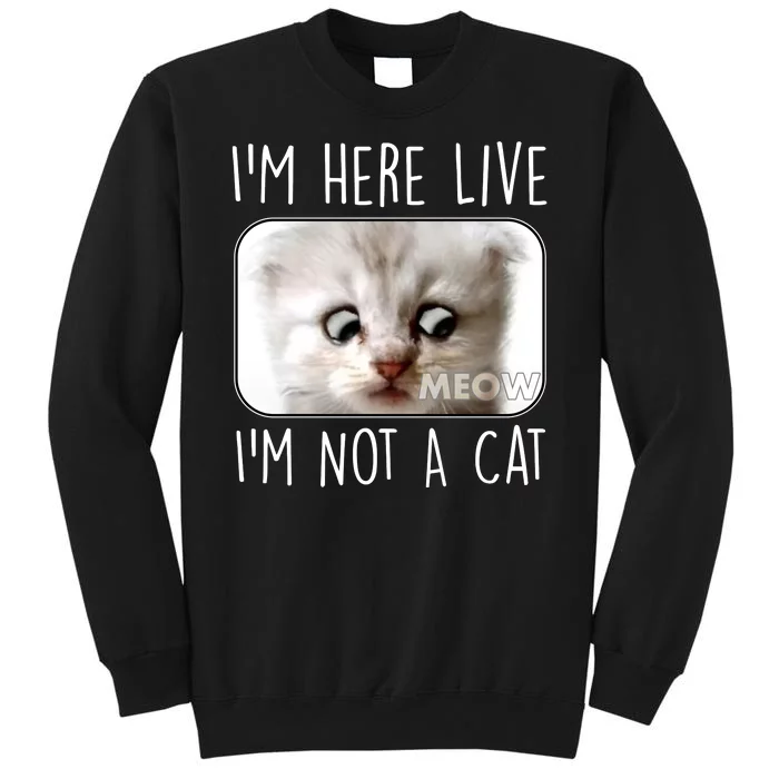 I'm Here Live I'm Not A Cat Zoom Lawyer Cat Meme Sweatshirt