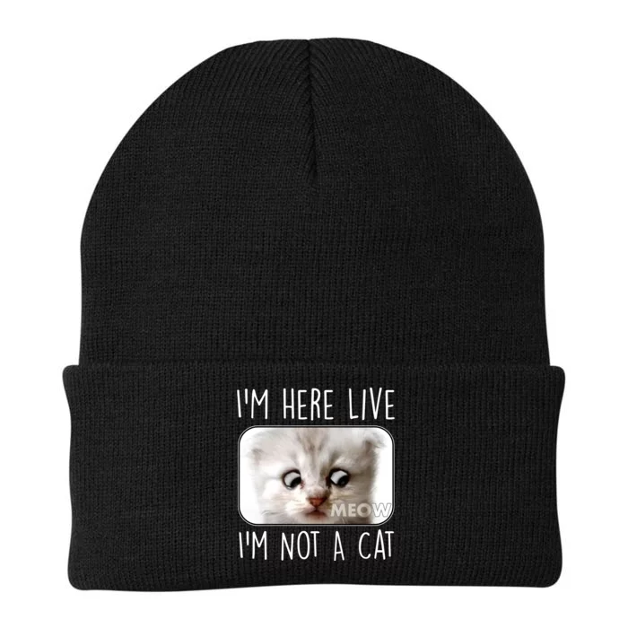 I'm Here Live I'm Not A Cat Zoom Lawyer Cat Meme Knit Cap Winter Beanie