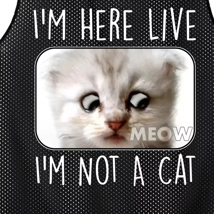 I'm Here Live I'm Not A Cat Zoom Lawyer Cat Meme Mesh Reversible Basketball Jersey Tank