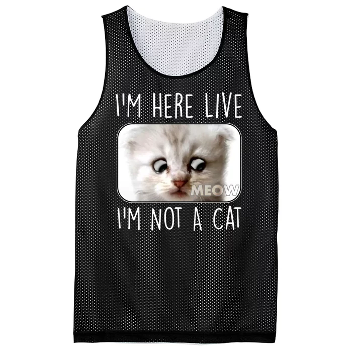 I'm Here Live I'm Not A Cat Zoom Lawyer Cat Meme Mesh Reversible Basketball Jersey Tank