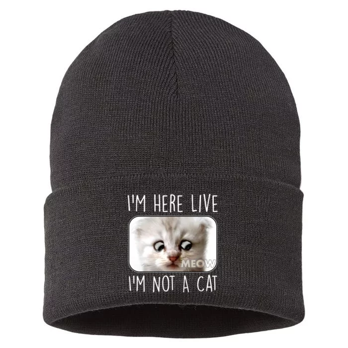 I'm Here Live I'm Not A Cat Zoom Lawyer Cat Meme Sustainable Knit Beanie