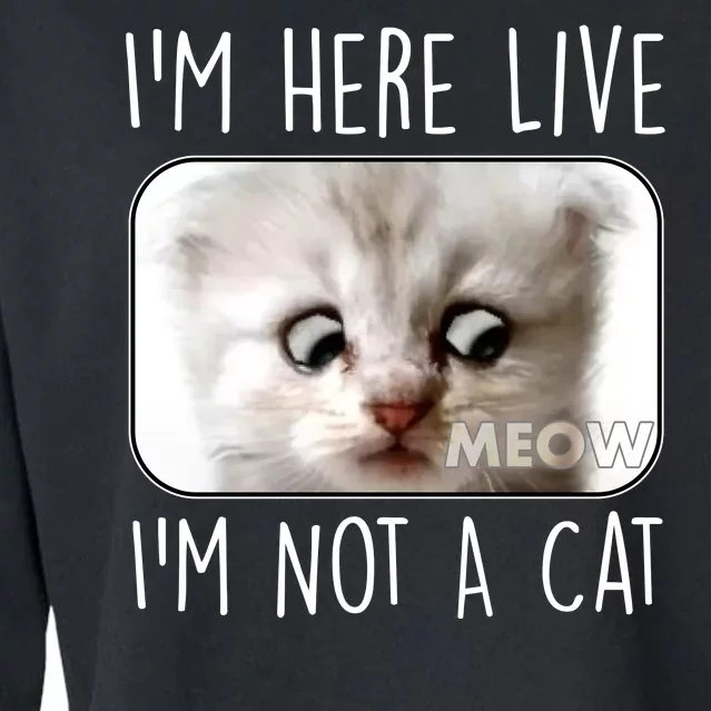 I'm Here Live I'm Not A Cat Zoom Lawyer Cat Meme Cropped Pullover Crew