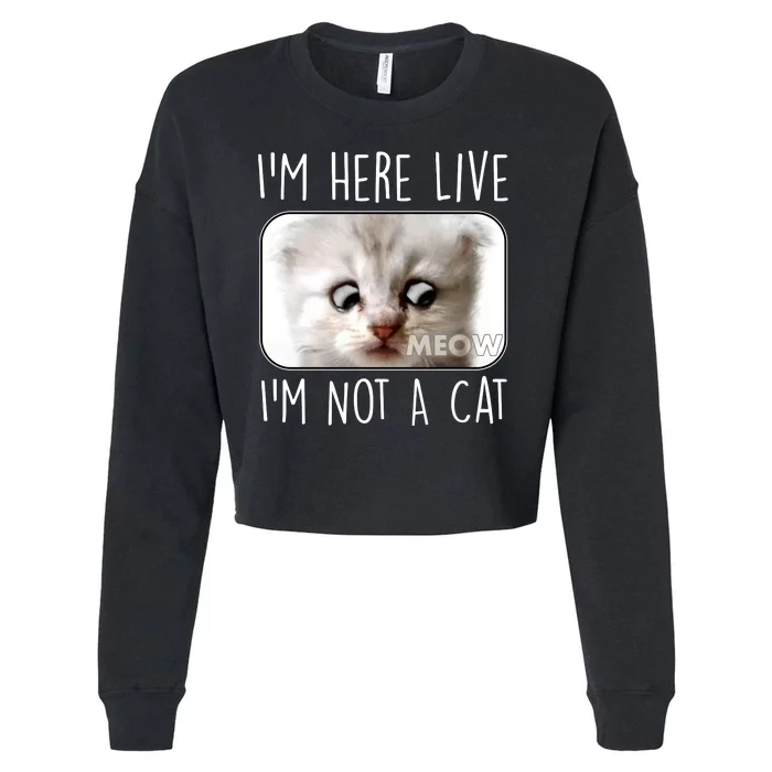 I'm Here Live I'm Not A Cat Zoom Lawyer Cat Meme Cropped Pullover Crew