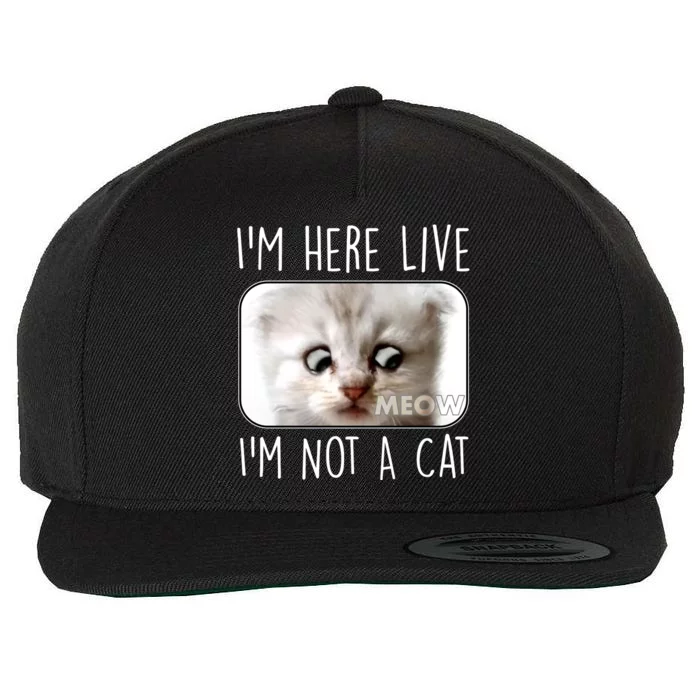 I'm Here Live I'm Not A Cat Zoom Lawyer Cat Meme Wool Snapback Cap