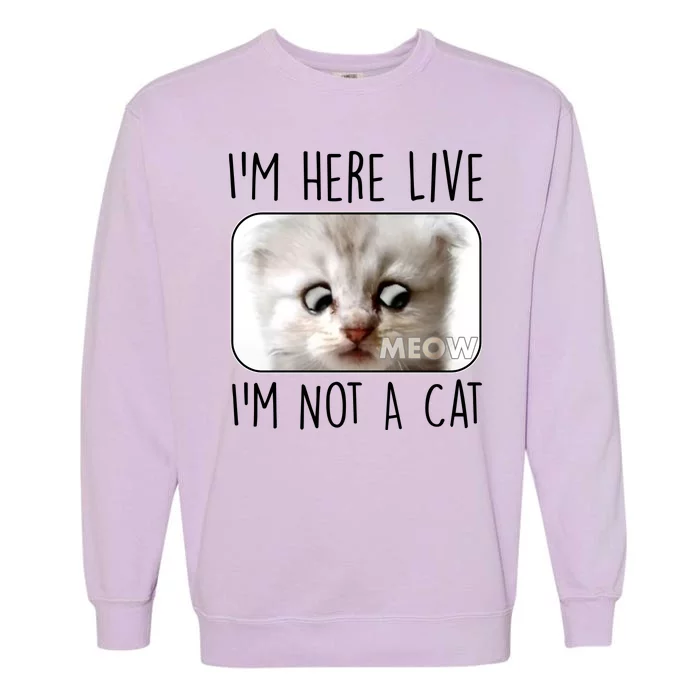 I'm Here Live I'm Not A Cat Zoom Lawyer Cat Meme Garment-Dyed Sweatshirt