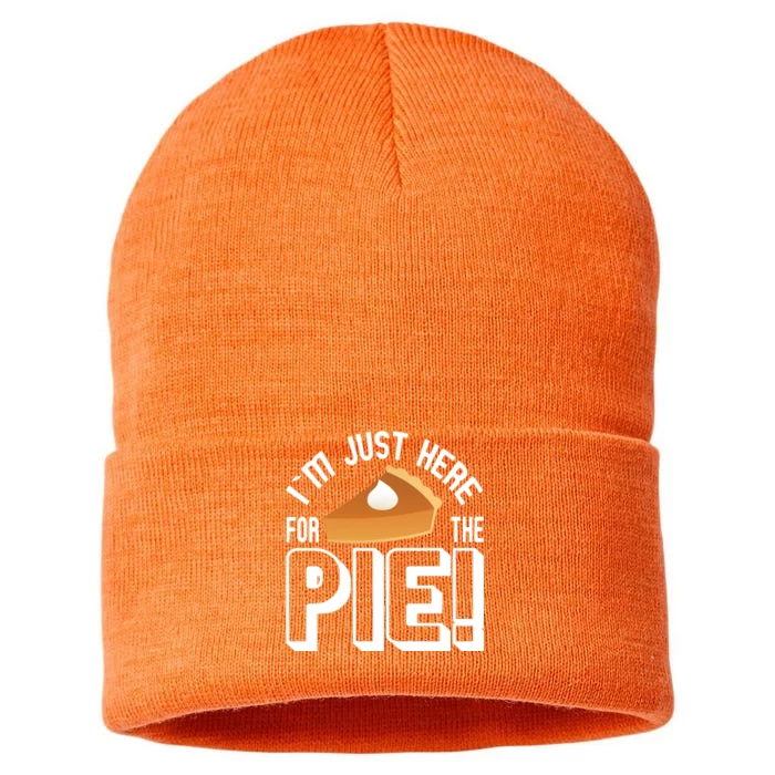 I'm Just Here For The Pie Sustainable Knit Beanie