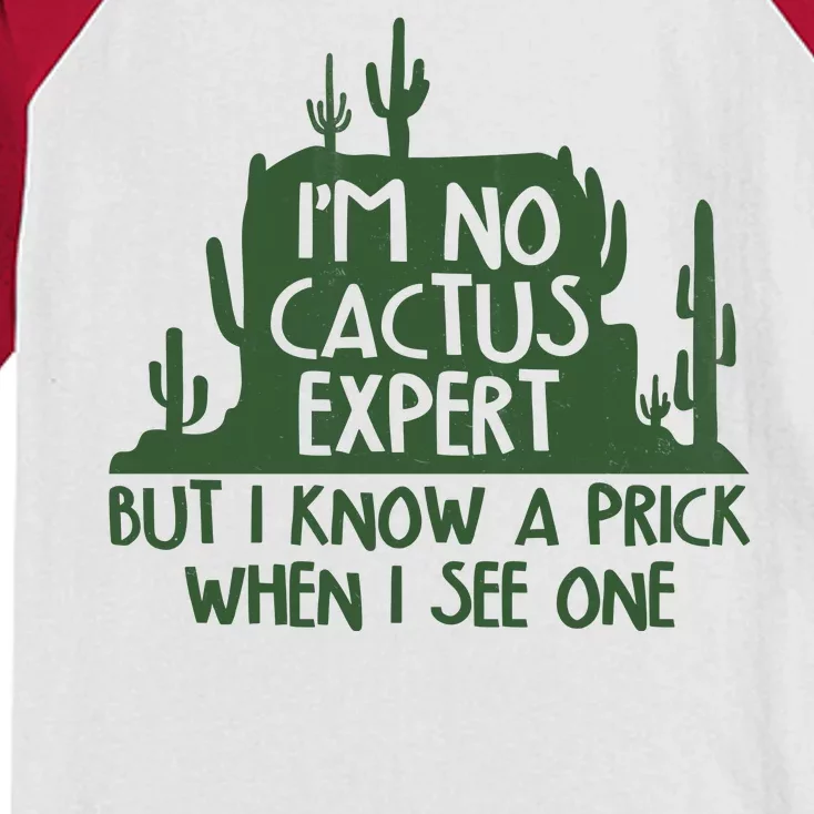 I'm No Cactus Expert But I Know a Prick When I See One Kids Colorblock Raglan Jersey