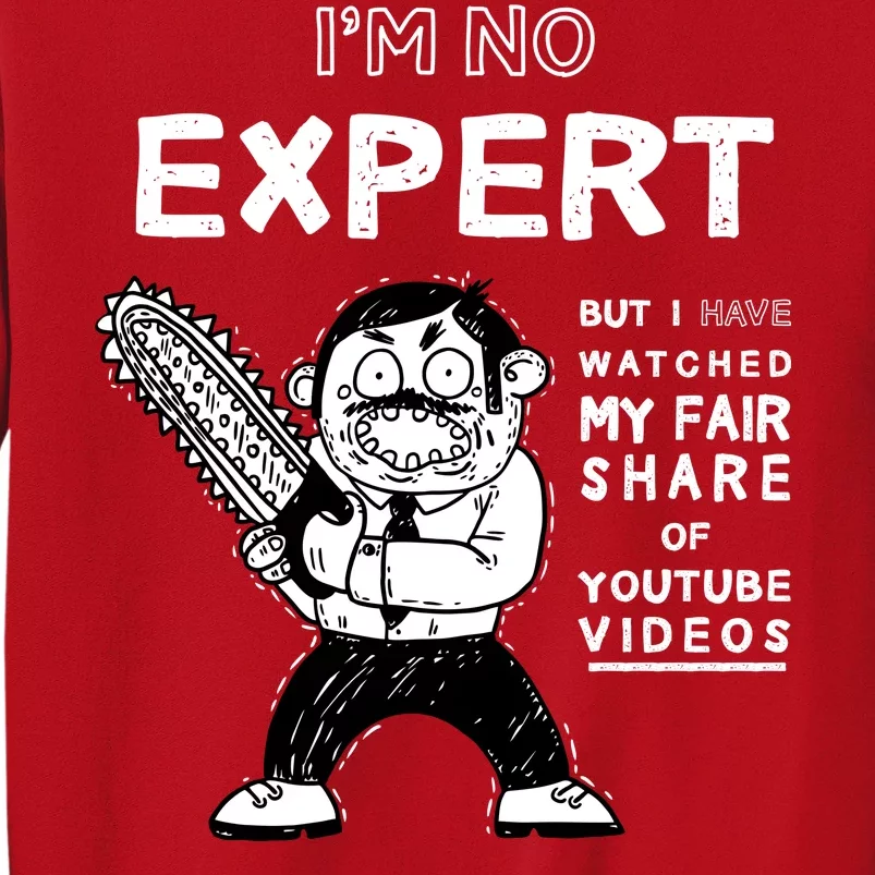 I'm No Expert Funny Video Sweatshirt