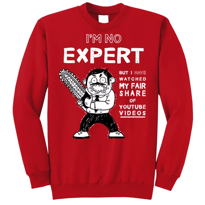 I'm No Expert Funny Video Sweatshirt