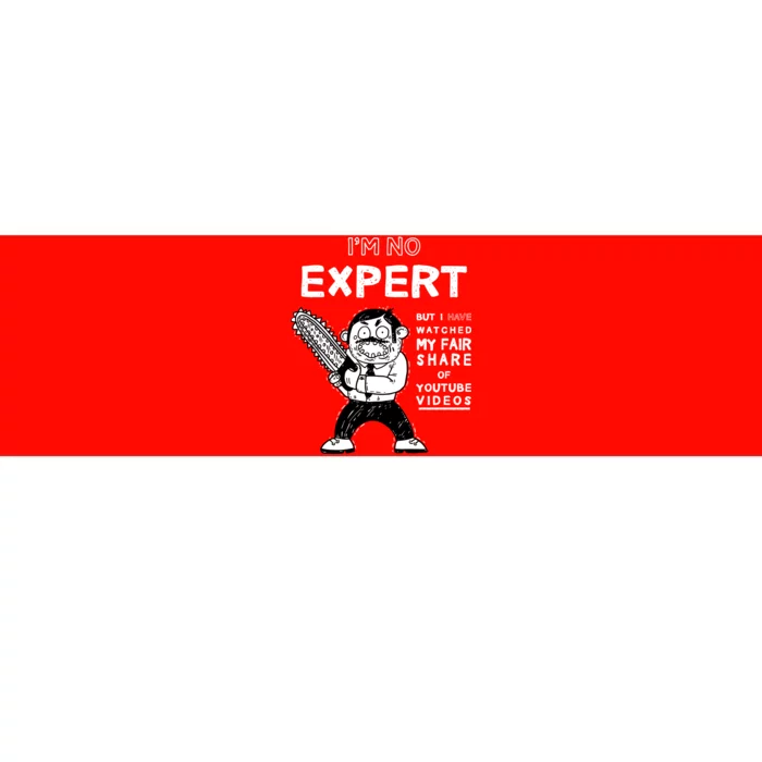 I'm No Expert Funny Video Bumper Sticker