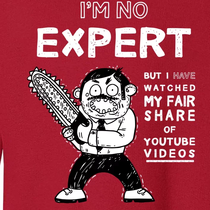 I'm No Expert Funny Video Toddler Sweatshirt