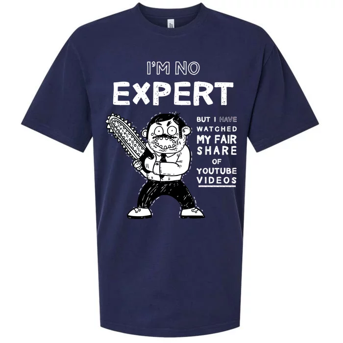 I'm No Expert Funny Video Sueded Cloud Jersey T-Shirt