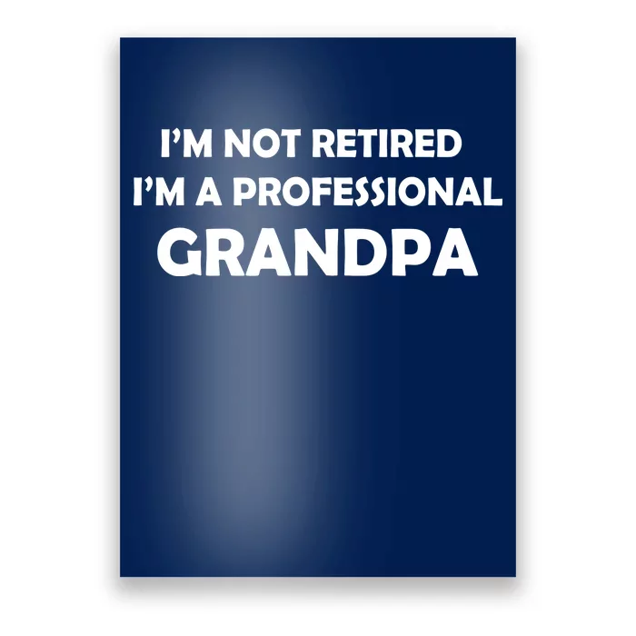 I'm Not Retired I'm A Professional Grandpa Poster