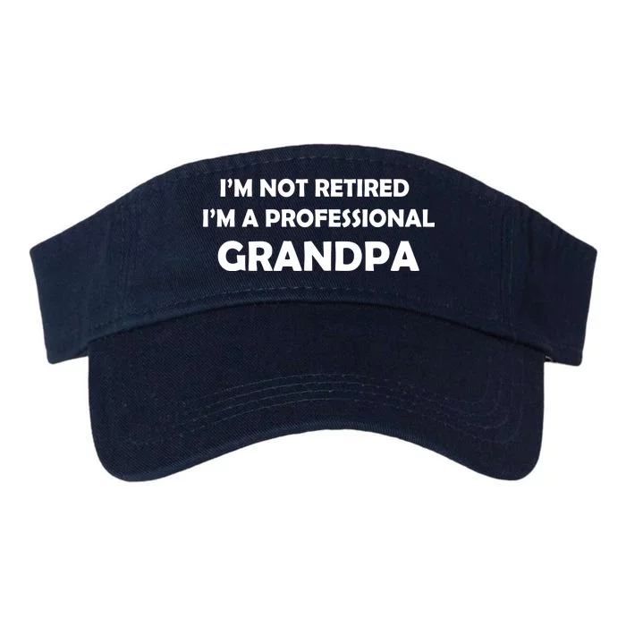 I'm Not Retired I'm A Professional Grandpa Valucap Bio-Washed Visor