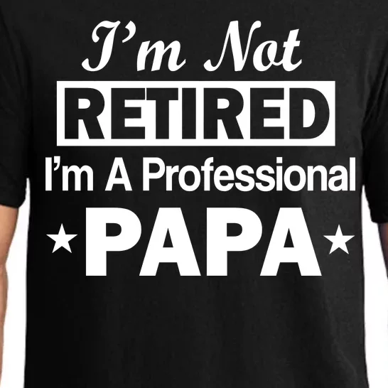 I'm Not Retired I'm A Professional Papa Pajama Set