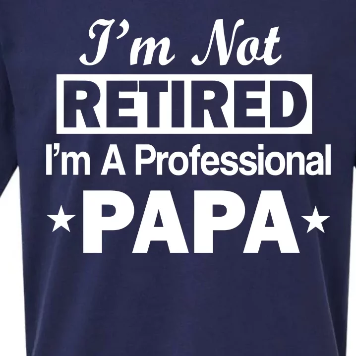 I'm Not Retired I'm A Professional Papa Sueded Cloud Jersey T-Shirt