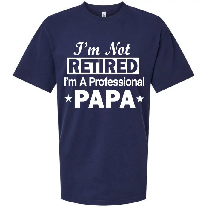 I'm Not Retired I'm A Professional Papa Sueded Cloud Jersey T-Shirt