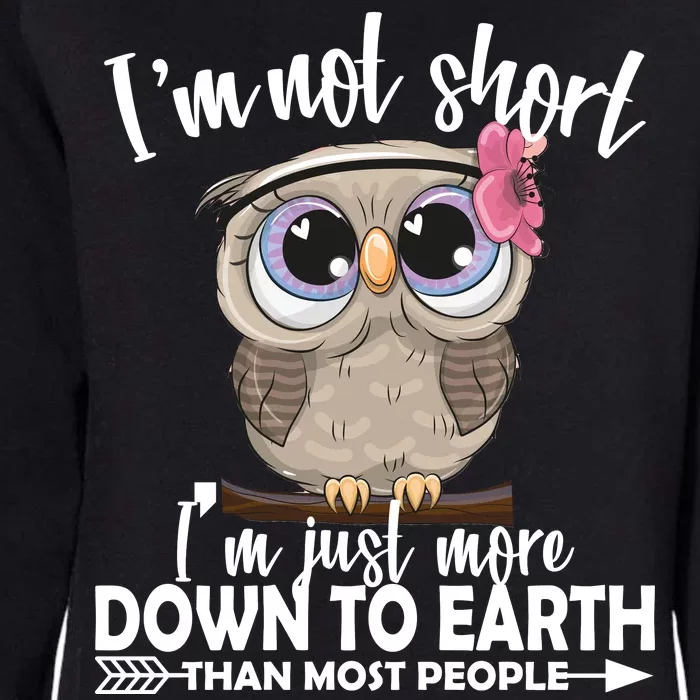 I'm Not Short I'm Just More Down To Earth Owl Womens California Wash Sweatshirt