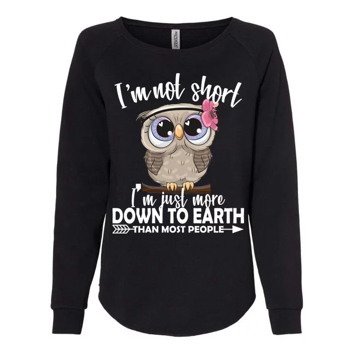 I'm Not Short I'm Just More Down To Earth Owl Womens California Wash Sweatshirt