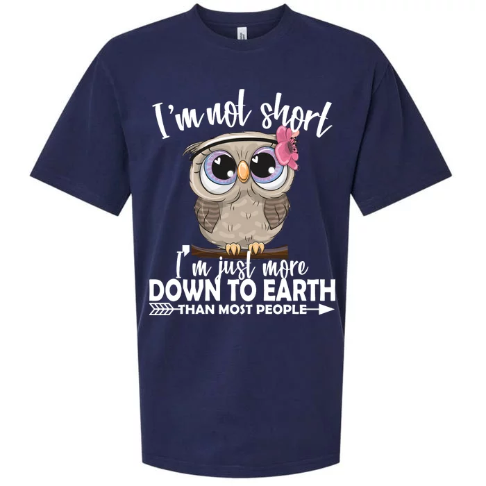 I'm Not Short I'm Just More Down To Earth Owl Sueded Cloud Jersey T-Shirt