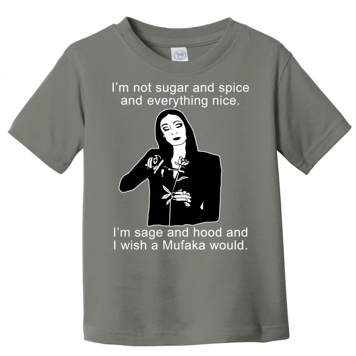 I'm Not Sugar And Spice Funny Meme Toddler T-Shirt