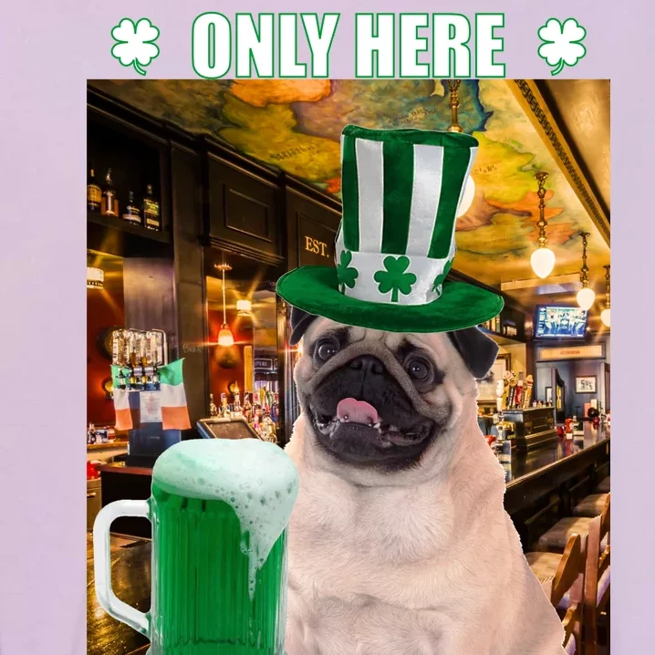 I'm Only Here for the Booze Beer Pug St. Patrick's Day Garment-Dyed Sweatshirt