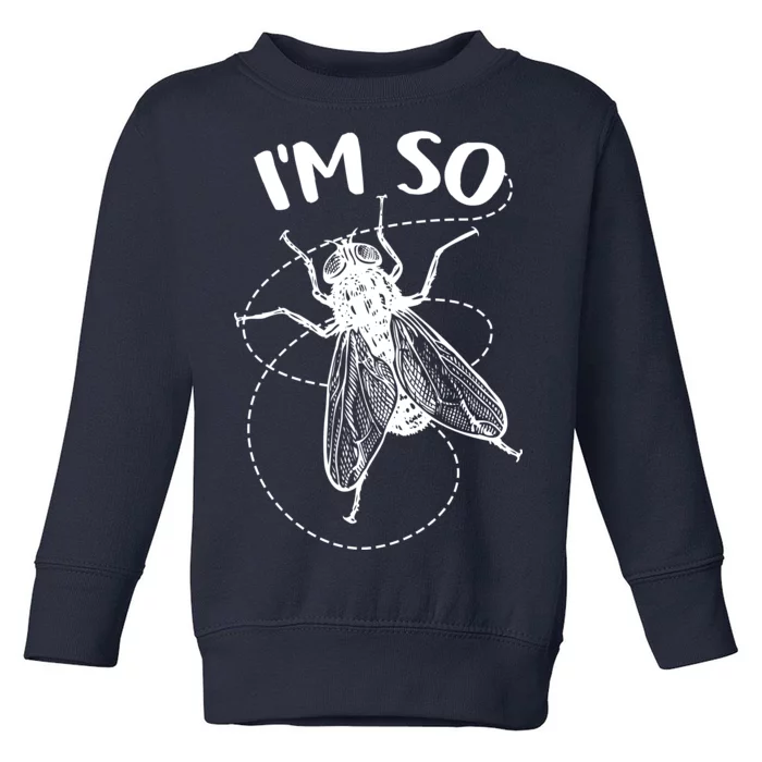 I'm So Fly Toddler Sweatshirt