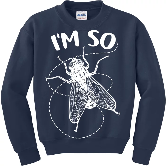 I'm So Fly Kids Sweatshirt