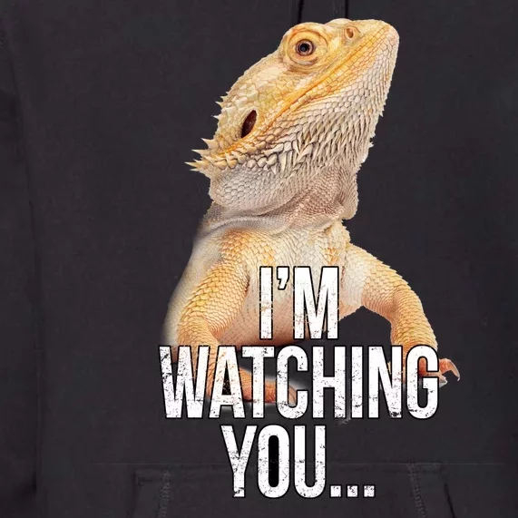 I'm watching you... Premium Hoodie