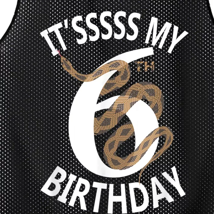 Its My 6th Birthday 6 Years Old Snake Boy And Girl Party Mesh Reversible Basketball Jersey Tank