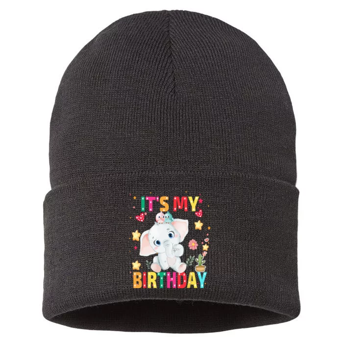 Its My Birthday Elephant Womens Sustainable Knit Beanie