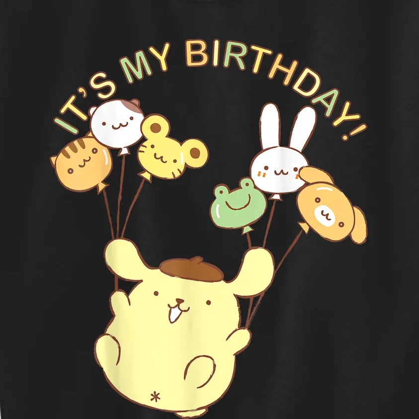 Its My Birthday Kids Sweatshirt