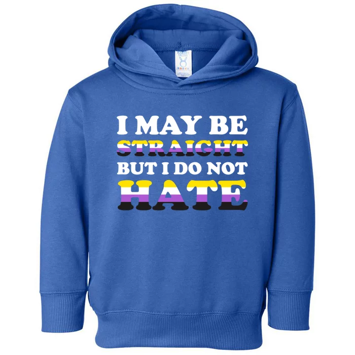 I May Be Straight But I Do Not Hate Bisexual Lgbt Csd Pride Great Gift Toddler Hoodie