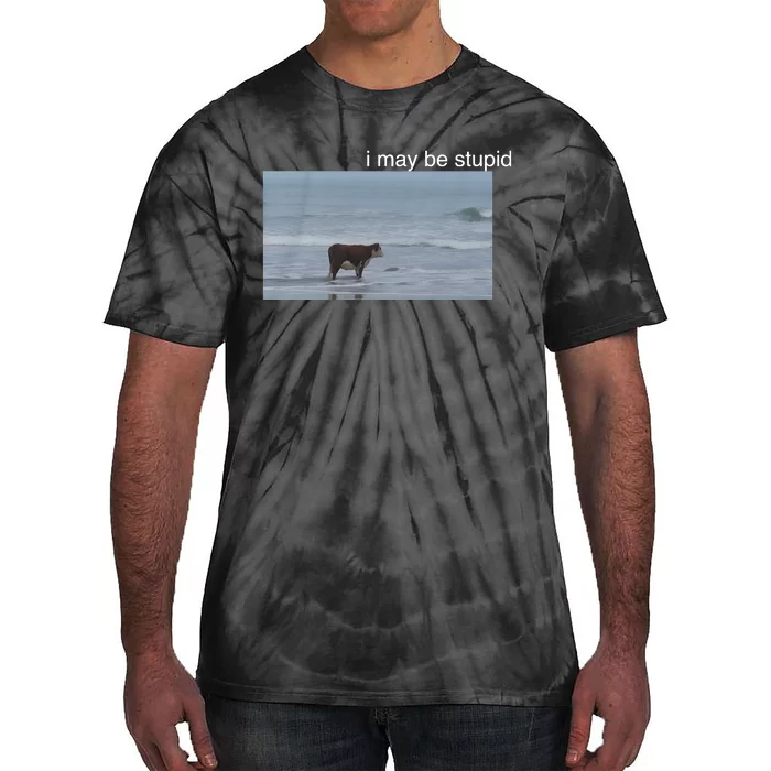 I May Be Stupid Cow On Beach Funny Meme Tie-Dye T-Shirt