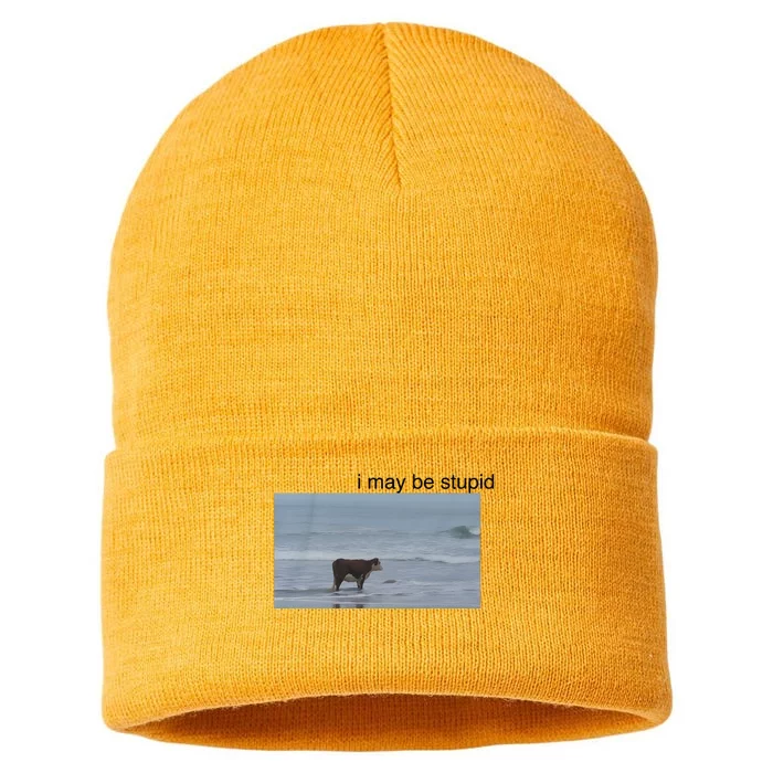 I May Be Stupid Cow On Beach Sustainable Knit Beanie