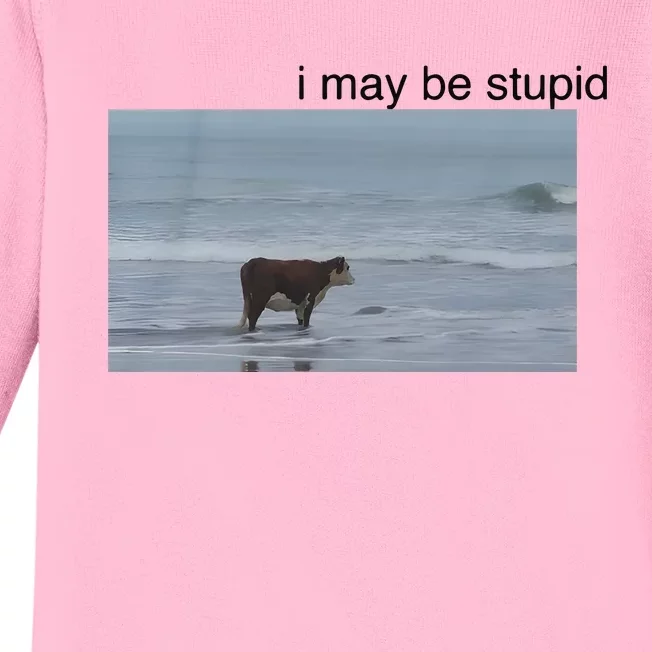 I May Be Stupid Cow On Beach Baby Long Sleeve Bodysuit