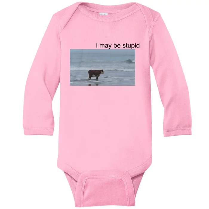 I May Be Stupid Cow On Beach Baby Long Sleeve Bodysuit